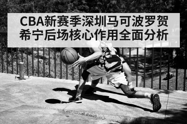 CBA新赛季深圳马可波罗贺希宁后场核心作用全面分析