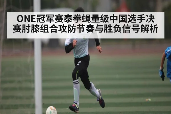 ONE冠军赛泰拳蝇量级中国选手决赛肘膝组合攻防节奏与胜负信号解析
